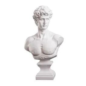 Michelangelo’s David Bust